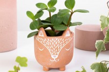 Mini-planteur Renard Terracotta